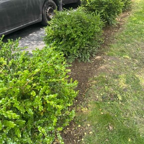 Flower Bed Weeding by J.E.T. Salvage  reviewed on June 4, 2022