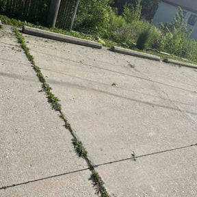 Bush Trimming by Kc Lawn service reviewed on August 4, 2023