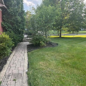 Flower Bed Weeding by Murray's Irish eyes lawn service reviewed on June 1, 2022