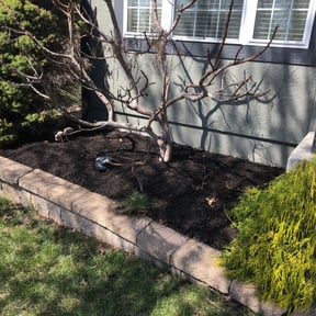 Landscaping by Integrity Lawn Care reviewed on April 15, 2022