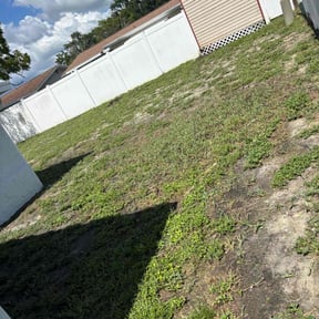 Landscaping by Cruiser Lawn Care reviewed on August 10, 2024