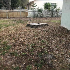 Bush Trimming by True Total Works reviewed on July 20, 2022