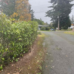 Bush Trimming by Gary Wright landscaping reviewed on April 22, 2022