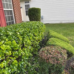 Bush Trimming by Off Glass Minor Repair & Maintenance, LLC reviewed on October 27, 2022