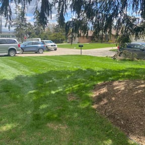 Leaf Removal by RJ's Lawn Care reviewed on March 27, 2022