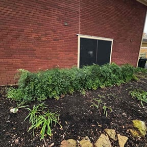 Flower Bed Weeding by Truth Lawn and Landscaping reviewed on July 8, 2025