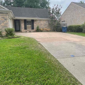 Bush Trimming by EP Remodeling LLC reviewed on March 21, 2025