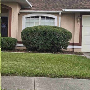 Bush Trimming by Pioneer Lawn Care reviewed on July 5, 2022