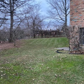 Leaf Removal by Mark Redden reviewed on March 13, 2022