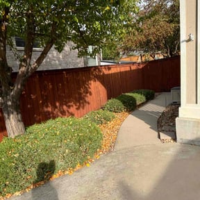 Bush Trimming by Trinity Mobile Service LLC reviewed on June 21, 2024