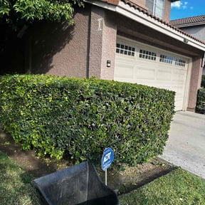 Bush Trimming by Uppercuts Lawn Care reviewed on July 21, 2022