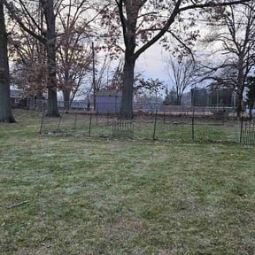 Leaf Removal by Lion's Heart Lawn Care reviewed on March 18, 2025