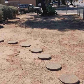 Cleanups by Dream Lawns reviewed on June 18, 2025