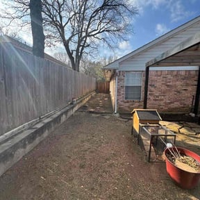 Leaf Removal by LSLTAustin/SanAntonioEmerald reviewed on June 23, 2025