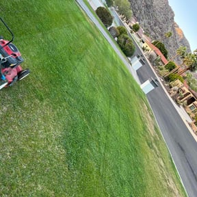 Leaf Removal by WylieScapes reviewed on May 5, 2022