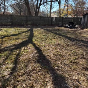 Leaf Removal by Fathers N Sons Lawn Care reviewed on June 15, 2022