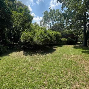 Bush Trimming by Prime Landscaping reviewed on June 6, 2022