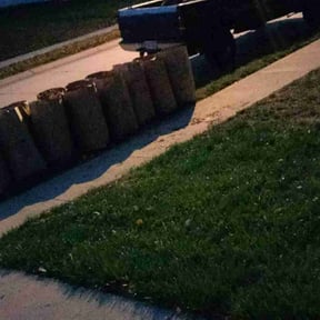 Leaf Removal by LG Lawn Services reviewed on April 22, 2022