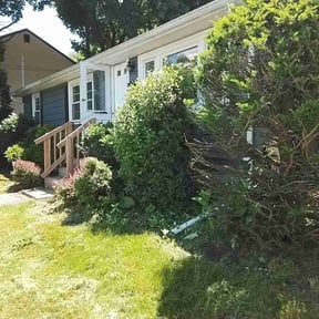 Bush Trimming by Custom Cuts Lawn Care reviewed on June 8, 2022