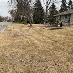 Leaf Removal by Olympus Outdoor Services reviewed on April 8, 2025