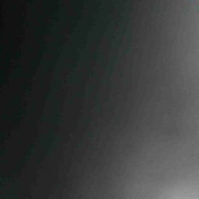 Bush Trimming by Tommy's Mowing Services WV,VA,&amp;Md reviewed on July 31, 2025