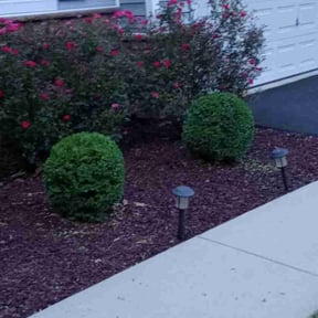 Flower Bed Weeding by David Perez reviewed on May 31, 2022