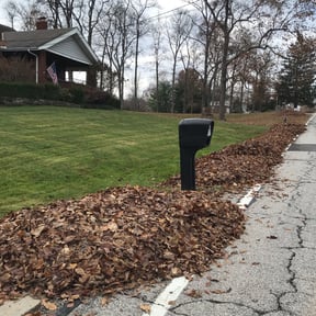 Leaf Removal by K's Lawn Care reviewed on June 16, 2022