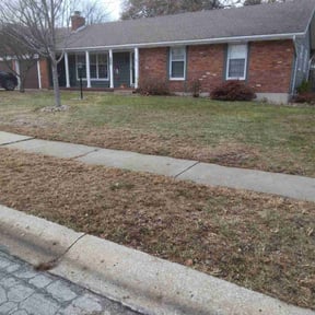 Leaf Removal by Ortega lawn services LL reviewed on July 13, 2022