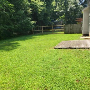 Bush Trimming by Green T's Lawn & Landscape reviewed on May 9, 2025