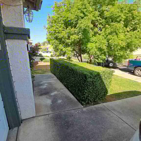 Bush Trimming by Greg's gardens reviewed on June 6, 2022