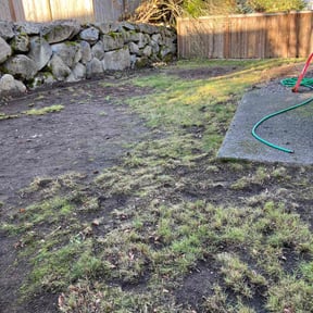 Leaf Removal by Murray's Irish eyes lawn service reviewed on April 24, 2022