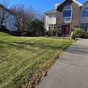 Leaf Removal by Cornerstone landscape & design reviewed on November 14, 2022