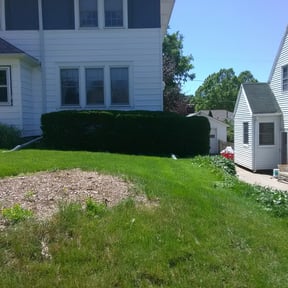 Bush Trimming by Sons bros and I lawn service reviewed on June 3, 2022