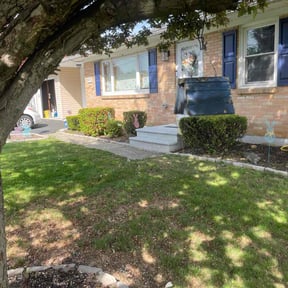 Bush Trimming by CJ clean outs llc reviewed on June 5, 2022