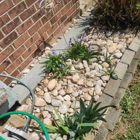 Flower Bed Weeding by Fourmysix, LLC reviewed on May 11, 2022
