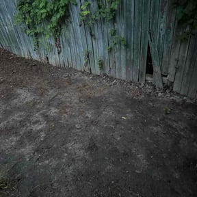 Cleanups by Lawn Enforcement Lawn Care LLC reviewed on November 30, 2024