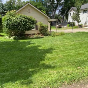 Bush Trimming by pnp concrete reviewed on June 11, 2022