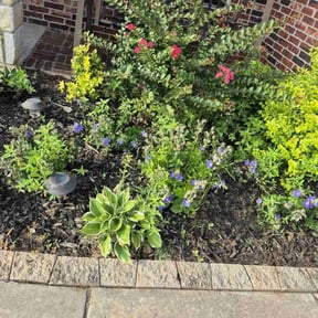 Flower Bed Weeding by Green River Landscape, LLC reviewed on November 27, 2021