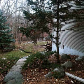 Leaf Removal by Alexander Landscaping reviewed on May 31, 2022