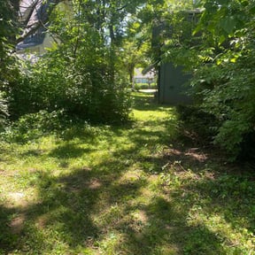 Cleanups by TruGreen LawnCare reviewed on June 11, 2025