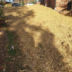 Lawn Seeding by Bubbas lawn service/car reviewed on August 1, 2024