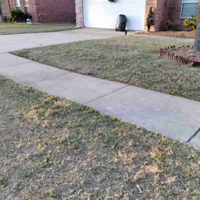 Leaf Removal by The Green Op reviewed on March 11, 2025