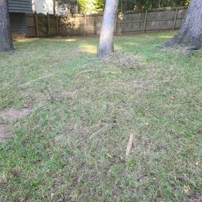 Leaf Removal by Jeri Cleaning Services reviewed on April 30, 2025