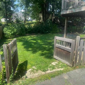 Bush Trimming by C&amp;R Services reviewed on July 22, 2022