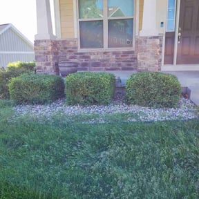 Bush Trimming by Lawn care Debris and Tree reviewed on August 10, 2024