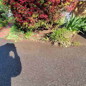 Leaf Removal by Big Chief Lawn Care reviewed on July 8, 2022