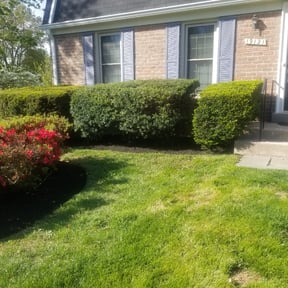 Mulching by Lawn Impression reviewed on July 24, 2022