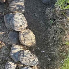 Weed Pulling by Pristine Properties LHS reviewed on June 22, 2025