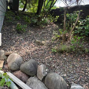Leaf Removal by Lawn Junkie reviewed on June 3, 2022