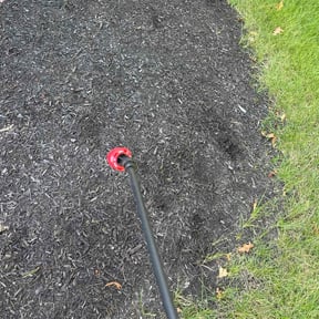 Weeding by MJ'S Lawn service reviewed on December 2, 2024